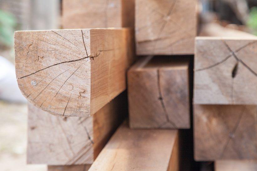 Механические свойства древесины